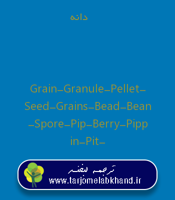 دانه به انگلیسی